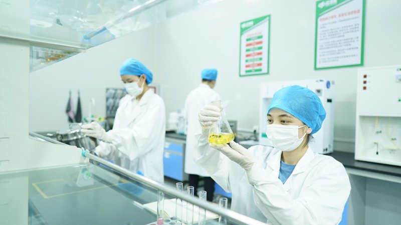 食品加工行业动态：新趋势与新格局
